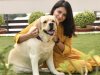 ForFurs - Premium Pet Accessory Brand, Based in Kanpur