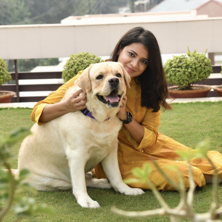 ForFurs - Premium Pet Accessory Brand, Based in Kanpur