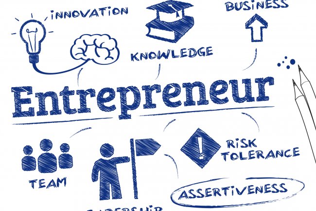 What is Entrepreneurship? Entrepreneur Meaning and it types
