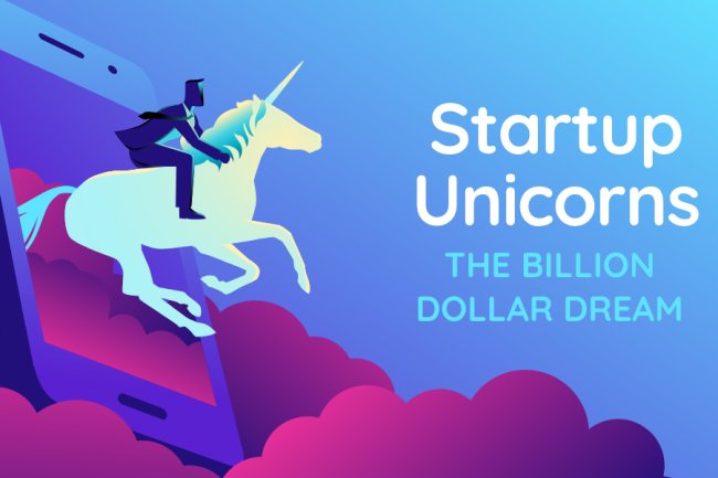 The ideal $1 billion dollar startup that every entrepreneur hopes to create.