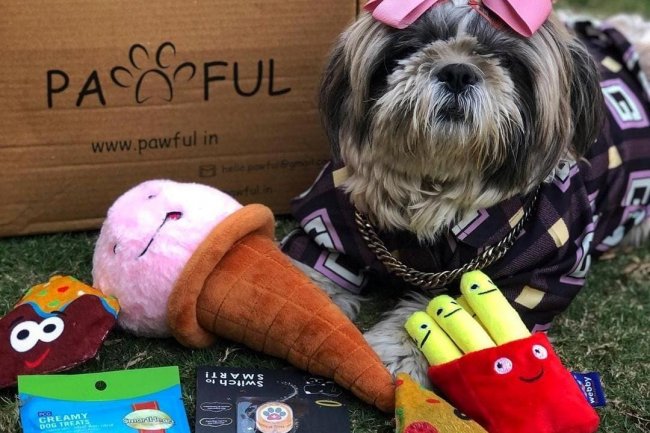 Are you a dog owner looking for quirky gifts for your friend?