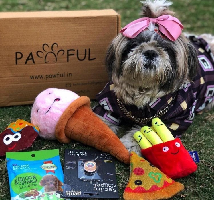 Are you a dog owner looking for quirky gifts for your friend?