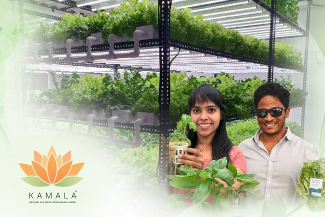 The Hydroponic Technology of Kamala Farms Has Taken Root in India.