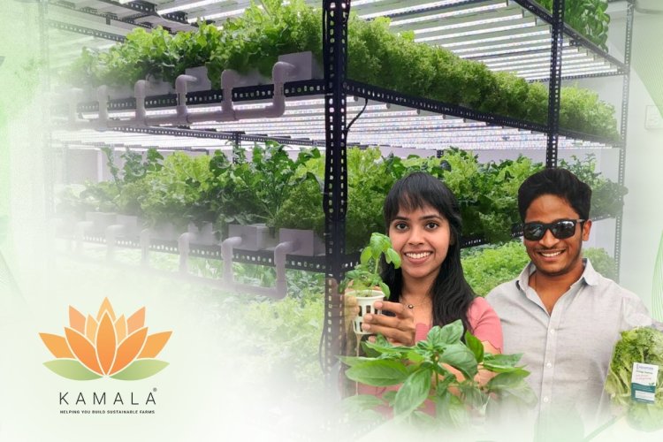 The Hydroponic Technology of Kamala Farms Has Taken Root in India.