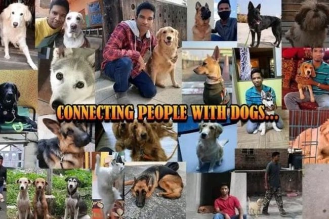 Mr. Simon, Bringing People and Dogs Together