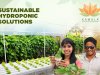 Growing Together: Kamala Farms' Sustainable Hydroponic Solutions