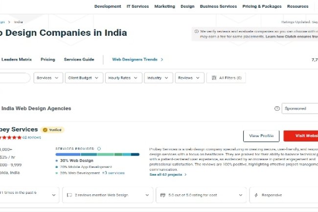 Probey Services is Awarded as the #1 Web Design Company in India by Clutch!