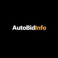 Auction for Damaged Cars at Affordable Prices Online