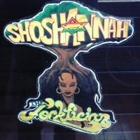 shoshannahnaturalhaircare