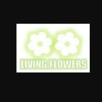 livingflowers