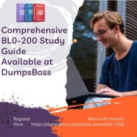 BL0-200-Guide